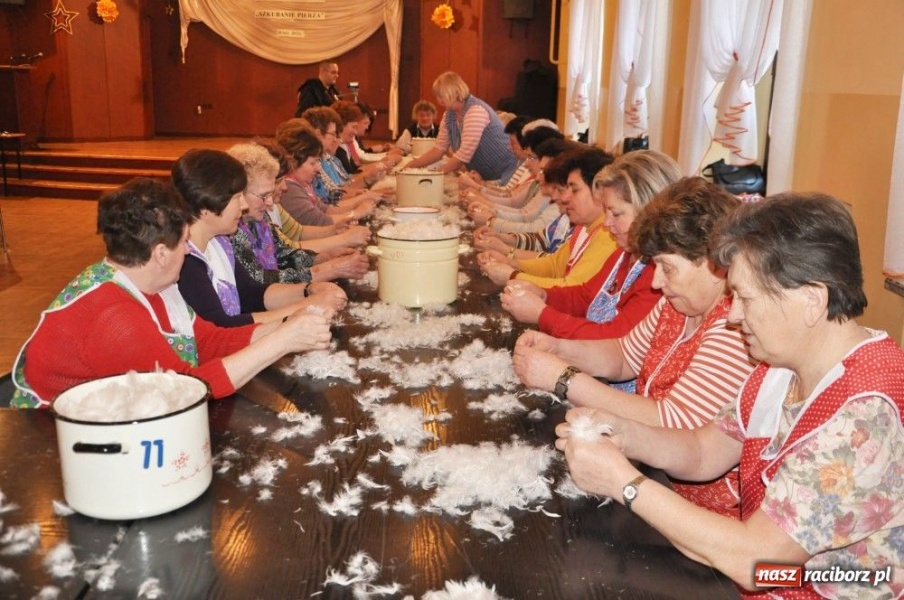 Zdjęcie w galerii na portalu naszraciborz.pl: Szkubali aż pierze leciało wiadomości z regionu