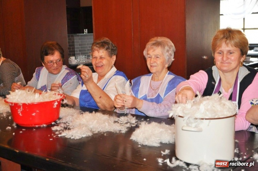 Zdjęcie w galerii na portalu naszraciborz.pl: Szkubali aż pierze leciało wiadomości z regionu