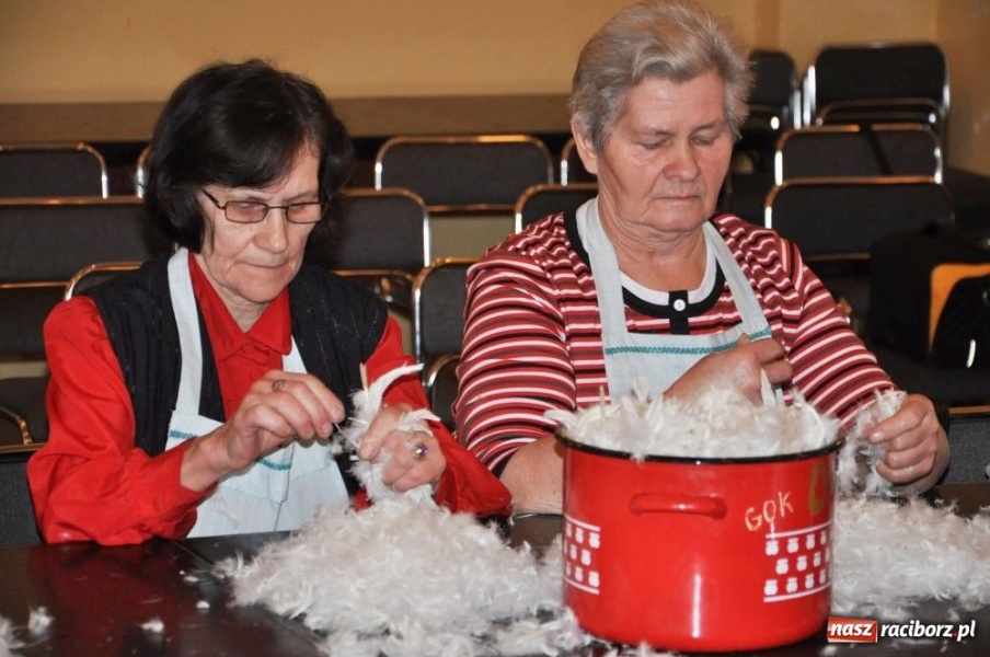 Zdjęcie w galerii na portalu naszraciborz.pl: Szkubali aż pierze leciało wiadomości z regionu