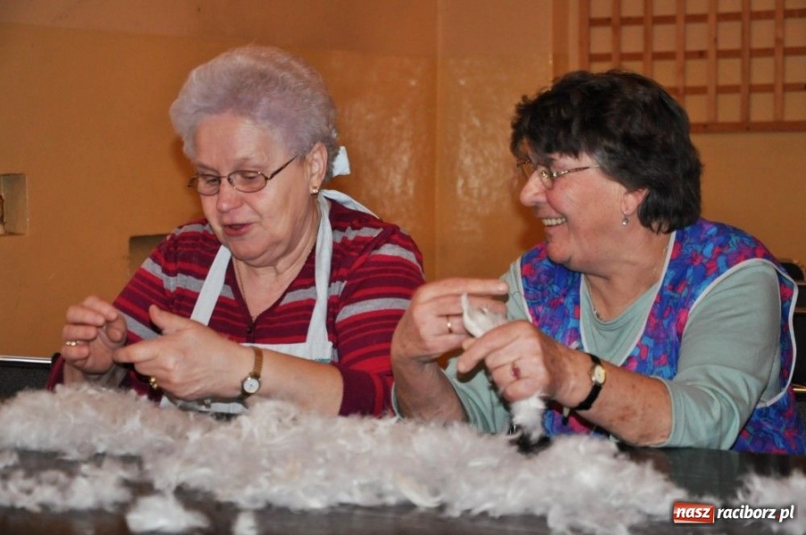 Zdjęcie w galerii na portalu naszraciborz.pl: Szkubali aż pierze leciało wiadomości z regionu