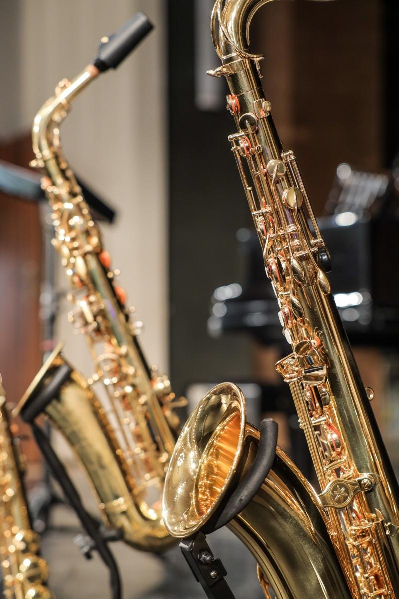 Zdjęcie w galerii na portalu naszraciborz.pl: Saksofon bohaterem listopadowego koncertu umuzykalniającego wiadomości z regionu