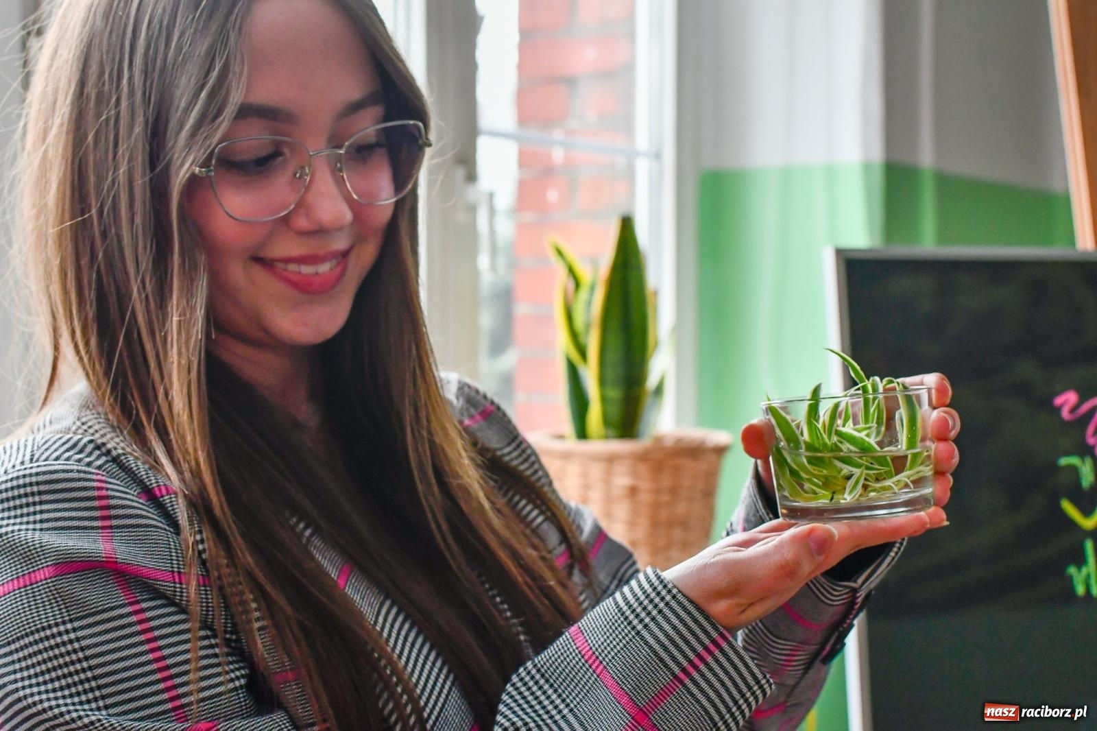 Zdjęcie w galerii na portalu naszraciborz.pl: Kasprowicz ma nowoczesną zieloną pracownię [FOTO i WIDEO] wiadomości z regionu