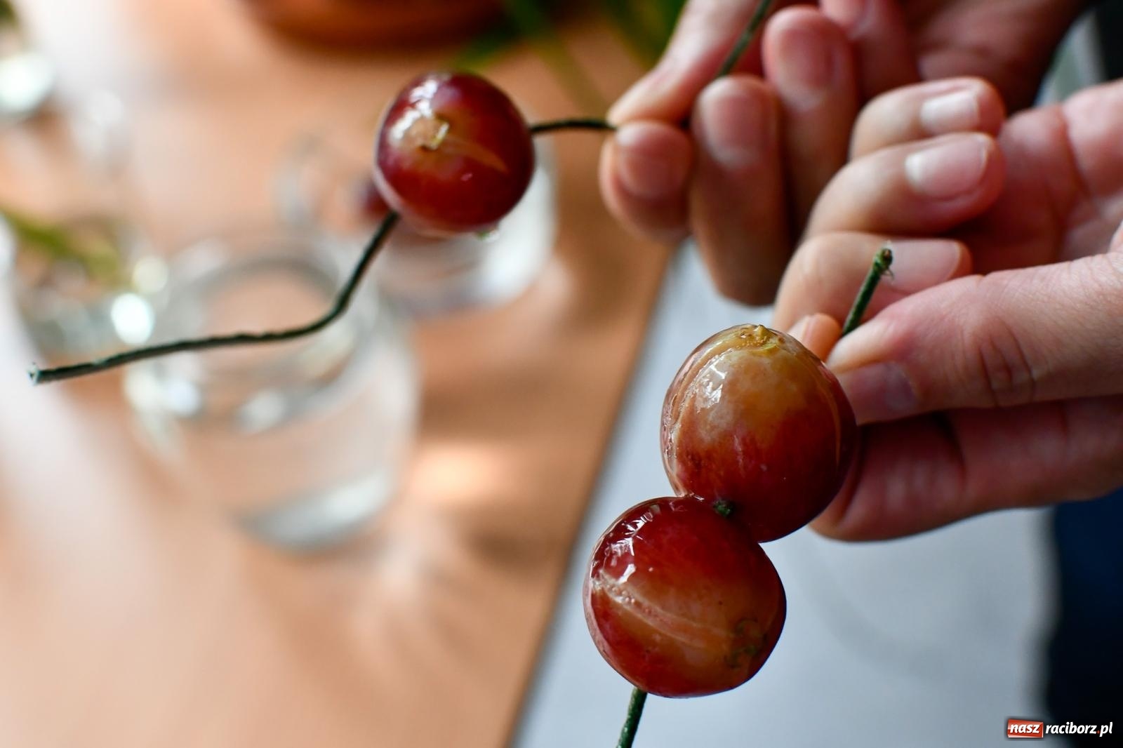 Zdjęcie w galerii na portalu naszraciborz.pl: Kasprowicz ma nowoczesną zieloną pracownię [FOTO i WIDEO] wiadomości z regionu