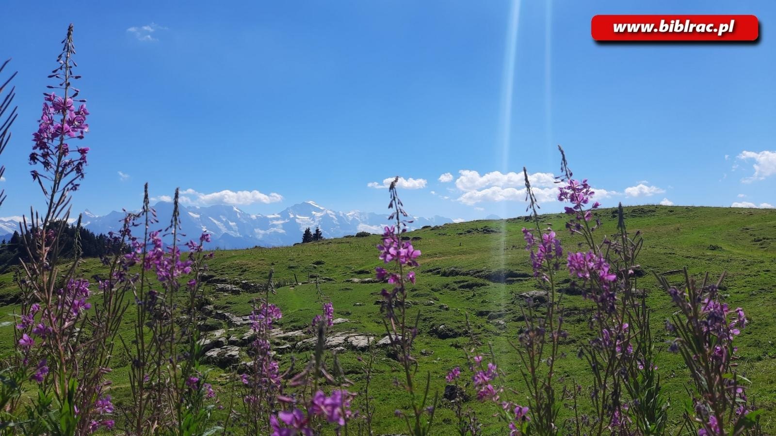 Zdjęcie w galerii na portalu naszraciborz.pl: Morwand i topniejące lodowce - slajdowisko o Szwajcarii w bibliotece w Markowicach wiadomości z regionu