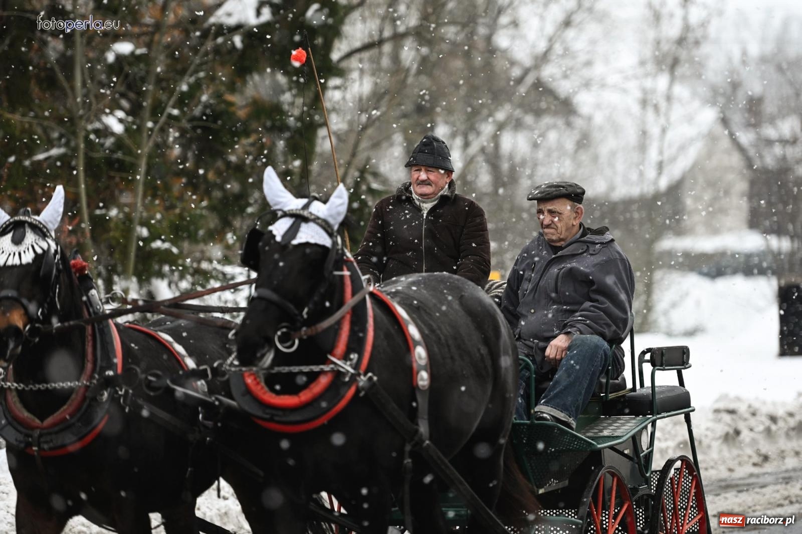 Zdjęcie w galerii na portalu naszraciborz.pl: Od św. Wacława do Mikołaszka. Krzanowice wierne tradycji [FOTO i WIDEO] wiadomości z regionu