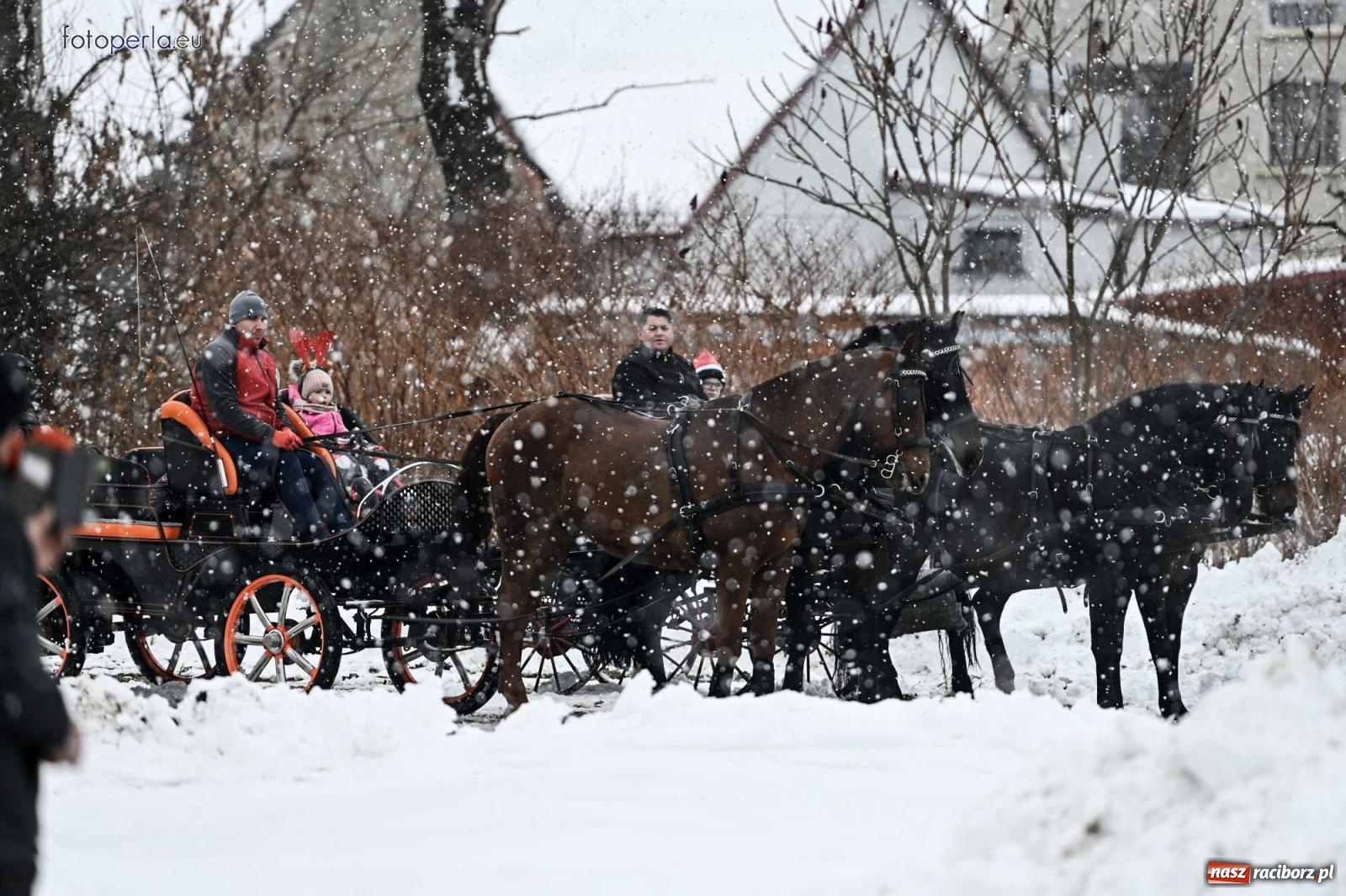 Zdjęcie w galerii na portalu naszraciborz.pl: Od św. Wacława do Mikołaszka. Krzanowice wierne tradycji [FOTO i WIDEO] wiadomości z regionu