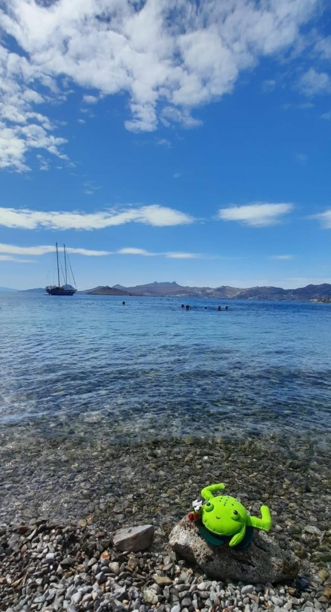 Zdjęcie w galerii na portalu naszraciborz.pl: SP1 na Ostrogu w programie Team Spirit wiadomości z regionu