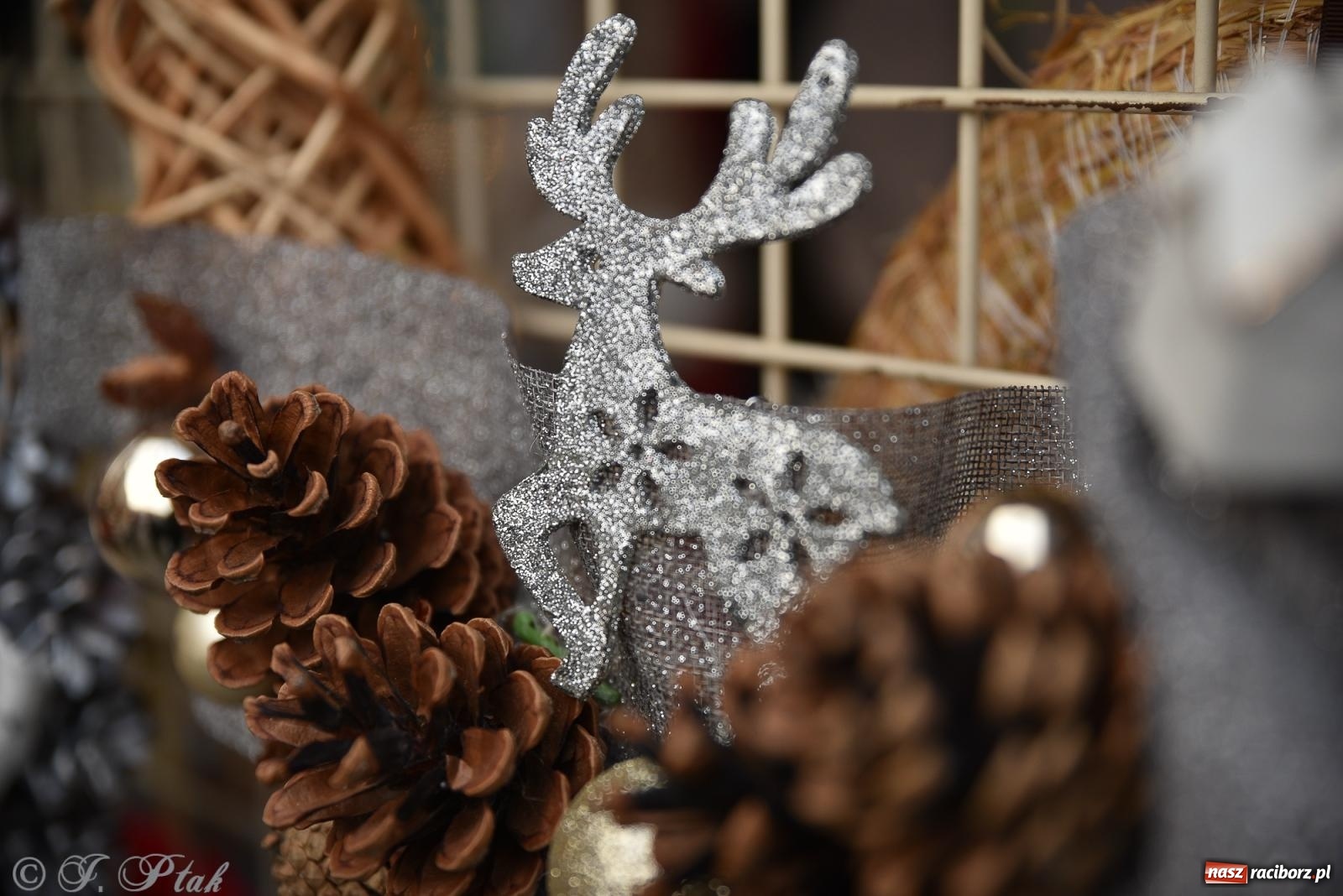 Zdjęcie w galerii na portalu naszraciborz.pl: W Raciborzu zapachniało bigosem. Wielka degustacja na Rynku i mikołajkowy finał jarmarku wiadomości z regionu