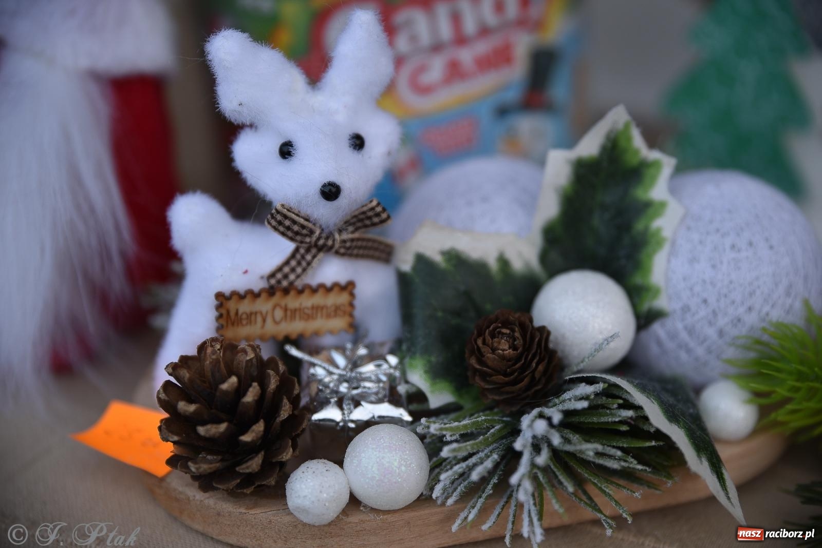 Zdjęcie w galerii na portalu naszraciborz.pl: W Raciborzu zapachniało bigosem. Wielka degustacja na Rynku i mikołajkowy finał jarmarku wiadomości z regionu