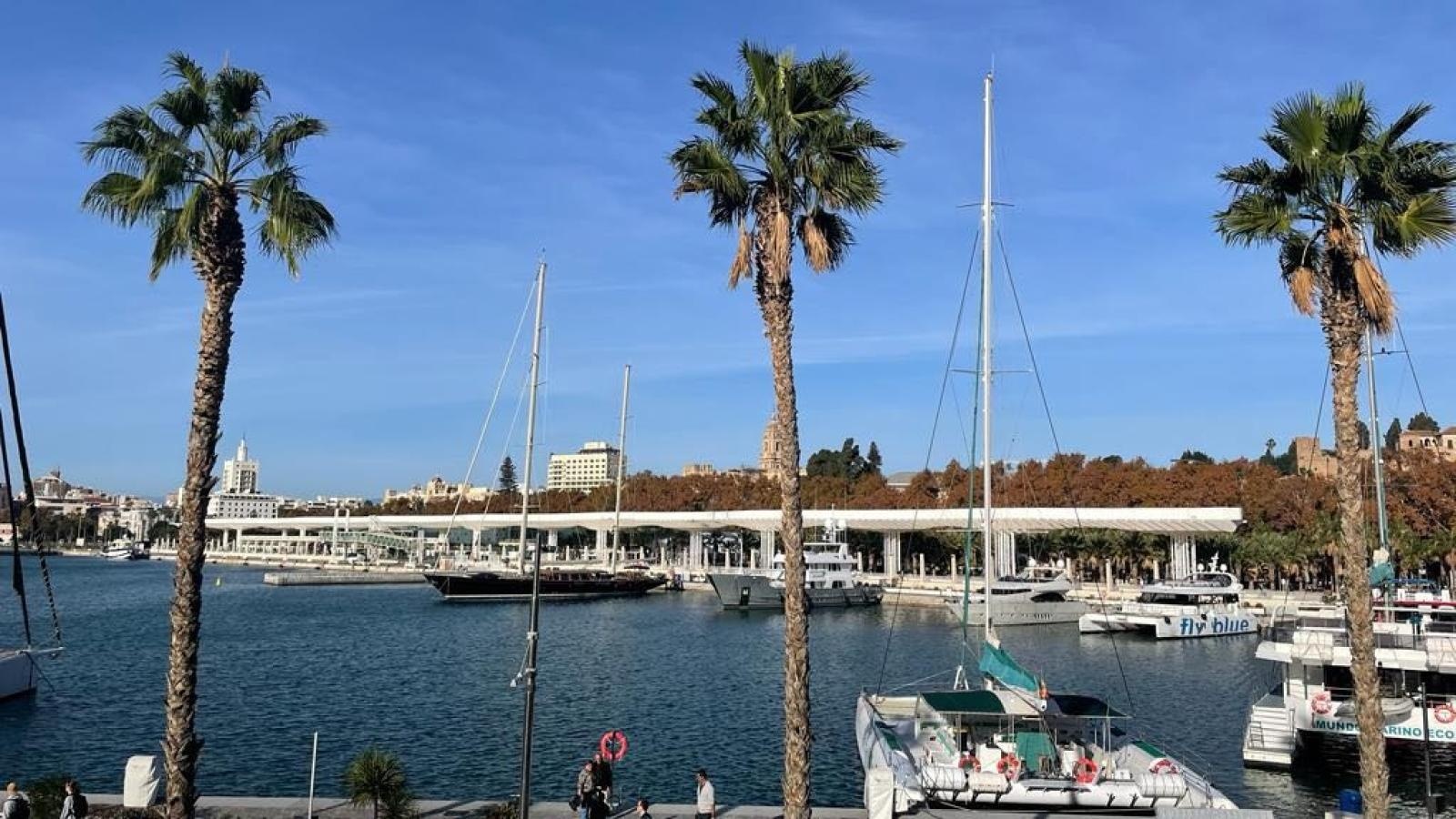 Zdjęcie w galerii na portalu naszraciborz.pl: Raciborzanie pobiegli na Generali Maraton Málaga wiadomości z regionu