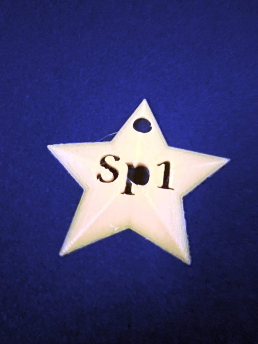 Zdjęcie w galerii na portalu naszraciborz.pl: Tłumy na Jarmarku w SP 1 na Ostrogu wiadomości z regionu