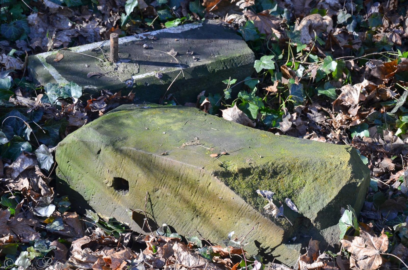 Zdjęcie w galerii na portalu naszraciborz.pl: Ceremonia z oficjalną prezentacją tablicy upamiętniającej cmentarz żydowski w Raciborzu [ZAPOWIEDŹ] wiadomości z regionu