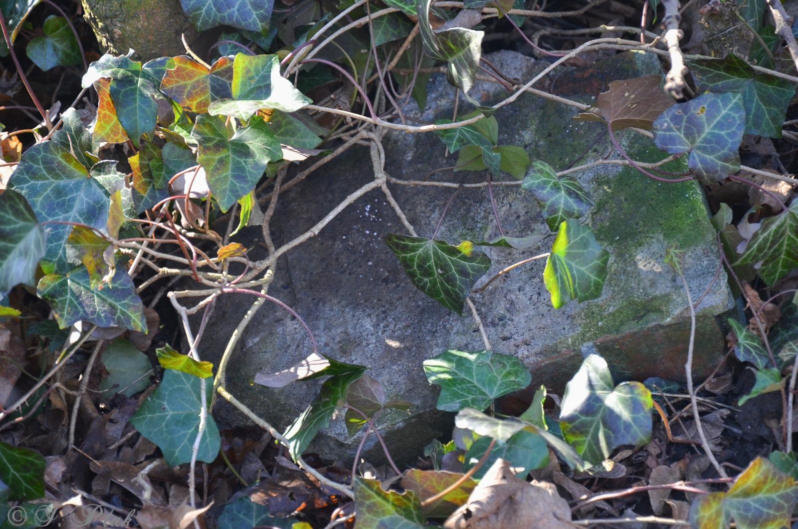 Zdjęcie w galerii na portalu naszraciborz.pl: Ceremonia z oficjalną prezentacją tablicy upamiętniającej cmentarz żydowski w Raciborzu [ZAPOWIEDŹ] wiadomości z regionu