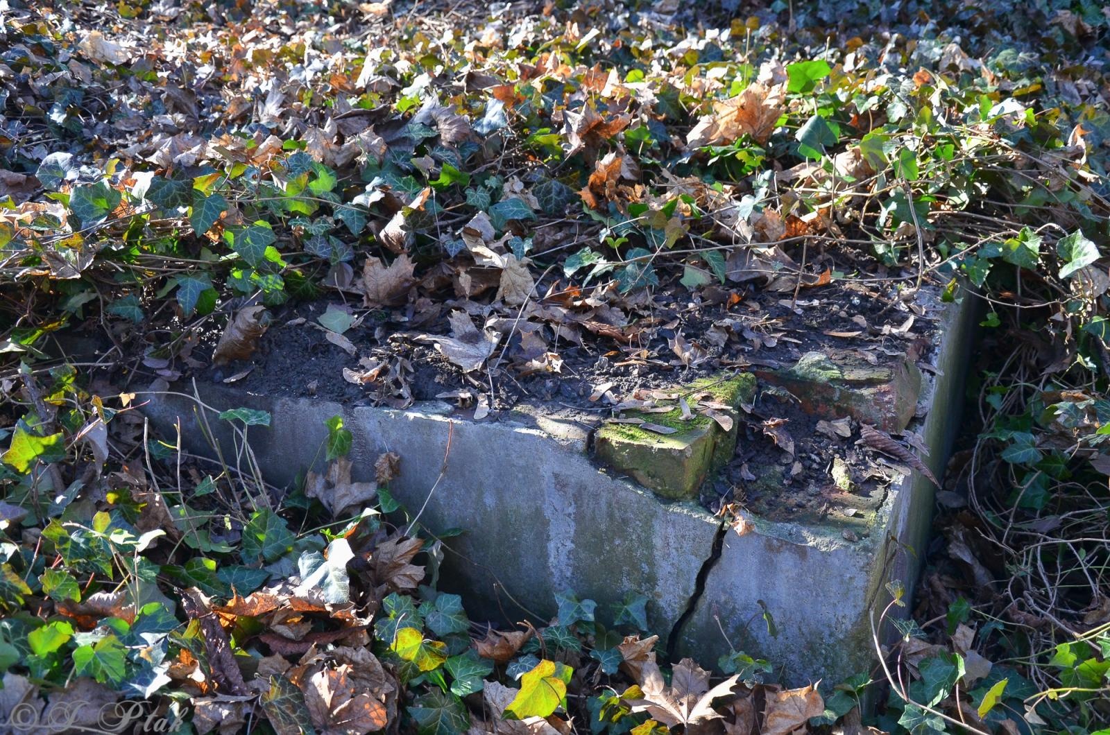 Zdjęcie w galerii na portalu naszraciborz.pl: Ceremonia z oficjalną prezentacją tablicy upamiętniającej cmentarz żydowski w Raciborzu [ZAPOWIEDŹ] wiadomości z regionu