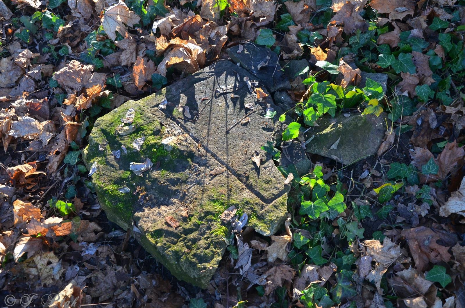 Zdjęcie w galerii na portalu naszraciborz.pl: Ceremonia z oficjalną prezentacją tablicy upamiętniającej cmentarz żydowski w Raciborzu [ZAPOWIEDŹ] wiadomości z regionu