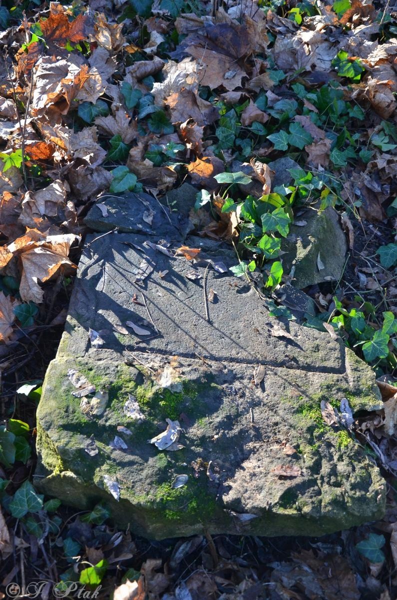 Zdjęcie w galerii na portalu naszraciborz.pl: Ceremonia z oficjalną prezentacją tablicy upamiętniającej cmentarz żydowski w Raciborzu [ZAPOWIEDŹ] wiadomości z regionu