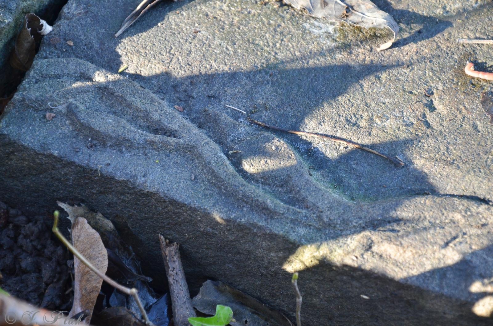 Zdjęcie w galerii na portalu naszraciborz.pl: Ceremonia z oficjalną prezentacją tablicy upamiętniającej cmentarz żydowski w Raciborzu [ZAPOWIEDŹ] wiadomości z regionu