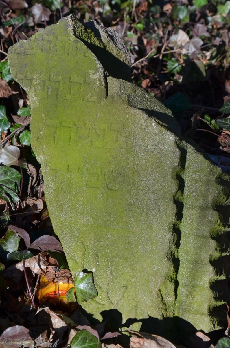 Zdjęcie w galerii na portalu naszraciborz.pl: Ceremonia z oficjalną prezentacją tablicy upamiętniającej cmentarz żydowski w Raciborzu [ZAPOWIEDŹ] wiadomości z regionu