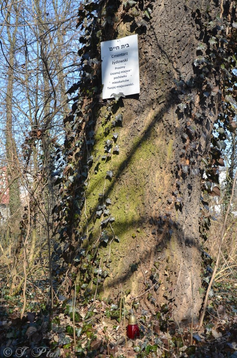 Zdjęcie w galerii na portalu naszraciborz.pl: Ceremonia z oficjalną prezentacją tablicy upamiętniającej cmentarz żydowski w Raciborzu [ZAPOWIEDŹ] wiadomości z regionu