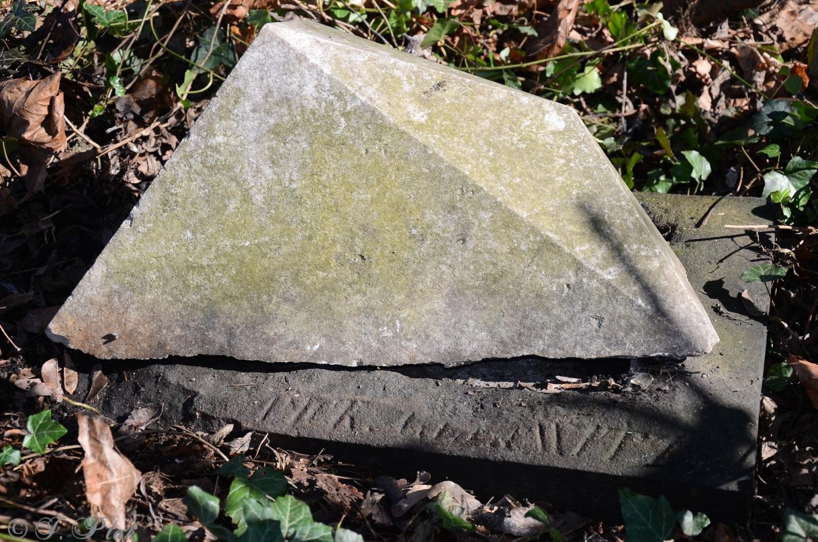 Zdjęcie w galerii na portalu naszraciborz.pl: Ceremonia z oficjalną prezentacją tablicy upamiętniającej cmentarz żydowski w Raciborzu [ZAPOWIEDŹ] wiadomości z regionu