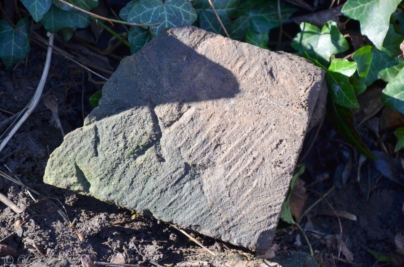 Zdjęcie w galerii na portalu naszraciborz.pl: Ceremonia z oficjalną prezentacją tablicy upamiętniającej cmentarz żydowski w Raciborzu [ZAPOWIEDŹ] wiadomości z regionu