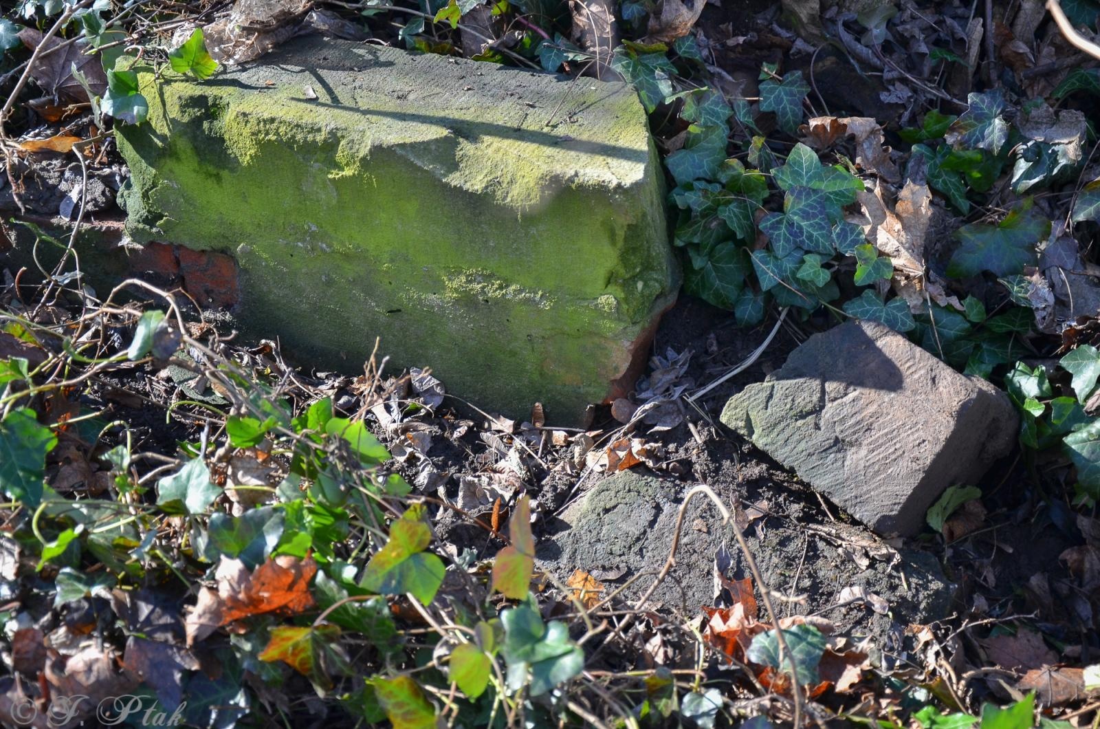 Zdjęcie w galerii na portalu naszraciborz.pl: Ceremonia z oficjalną prezentacją tablicy upamiętniającej cmentarz żydowski w Raciborzu [ZAPOWIEDŹ] wiadomości z regionu