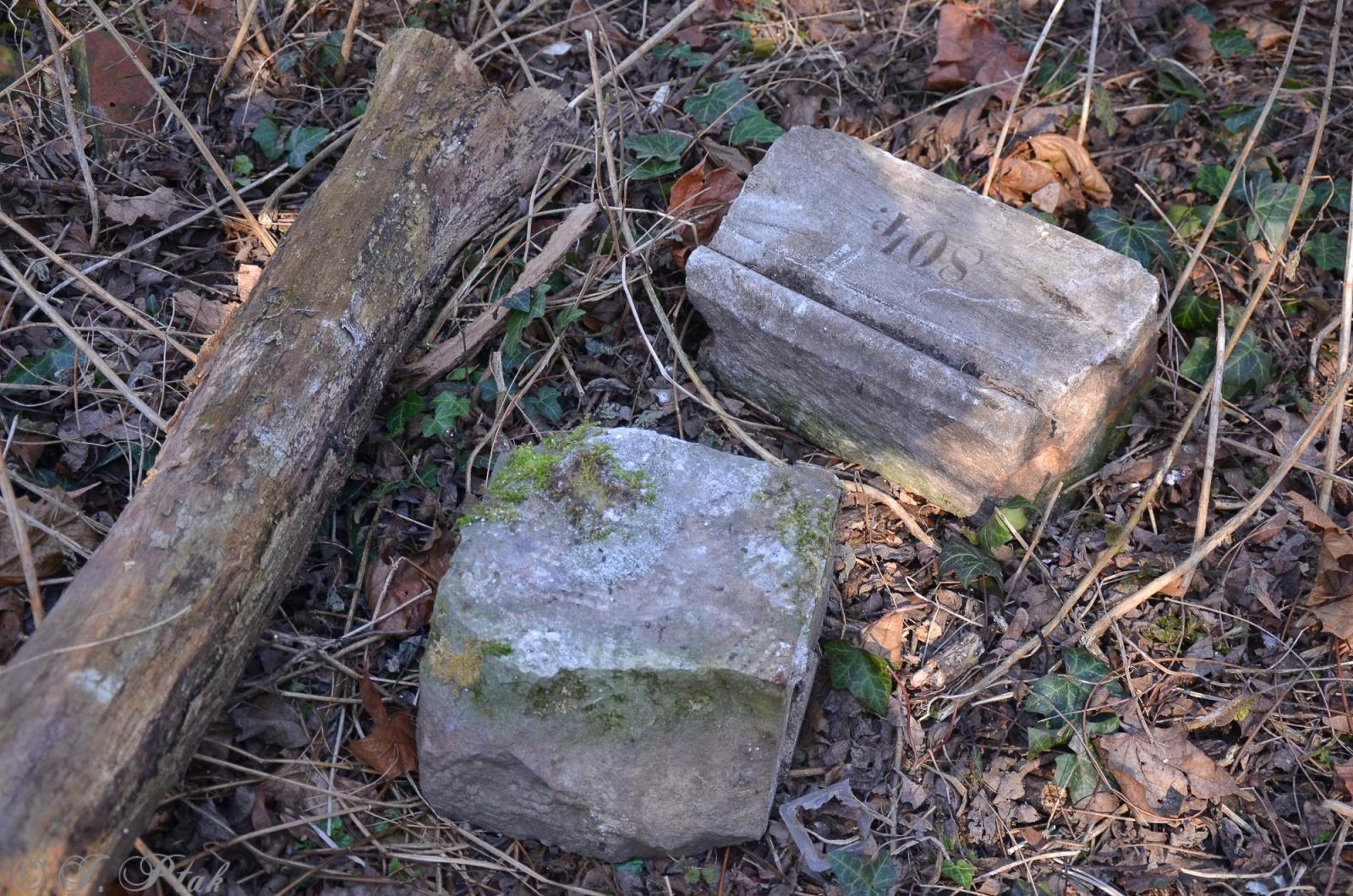 Zdjęcie w galerii na portalu naszraciborz.pl: Ceremonia z oficjalną prezentacją tablicy upamiętniającej cmentarz żydowski w Raciborzu [ZAPOWIEDŹ] wiadomości z regionu