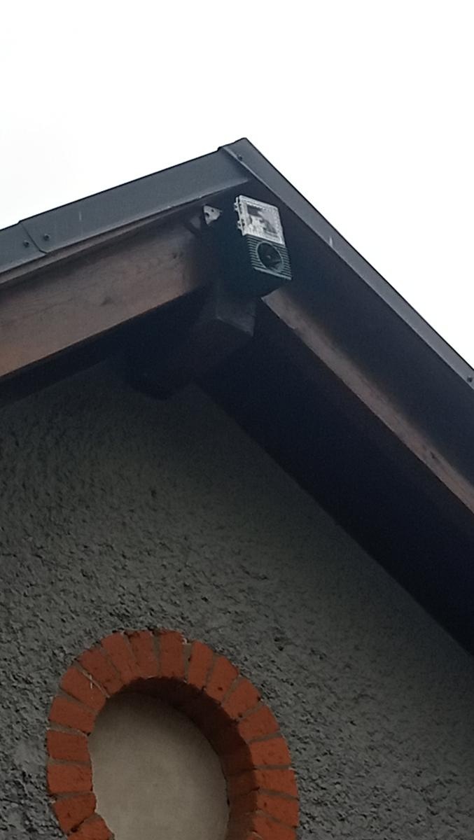 Zdjęcie w galerii na portalu naszraciborz.pl: Ptasi problem. Ogródkowi Jordanowskiemu przy Stalmacha grozi zamknięcie, mieszkańcom puchną uszy [WIDEO] wiadomości z regionu