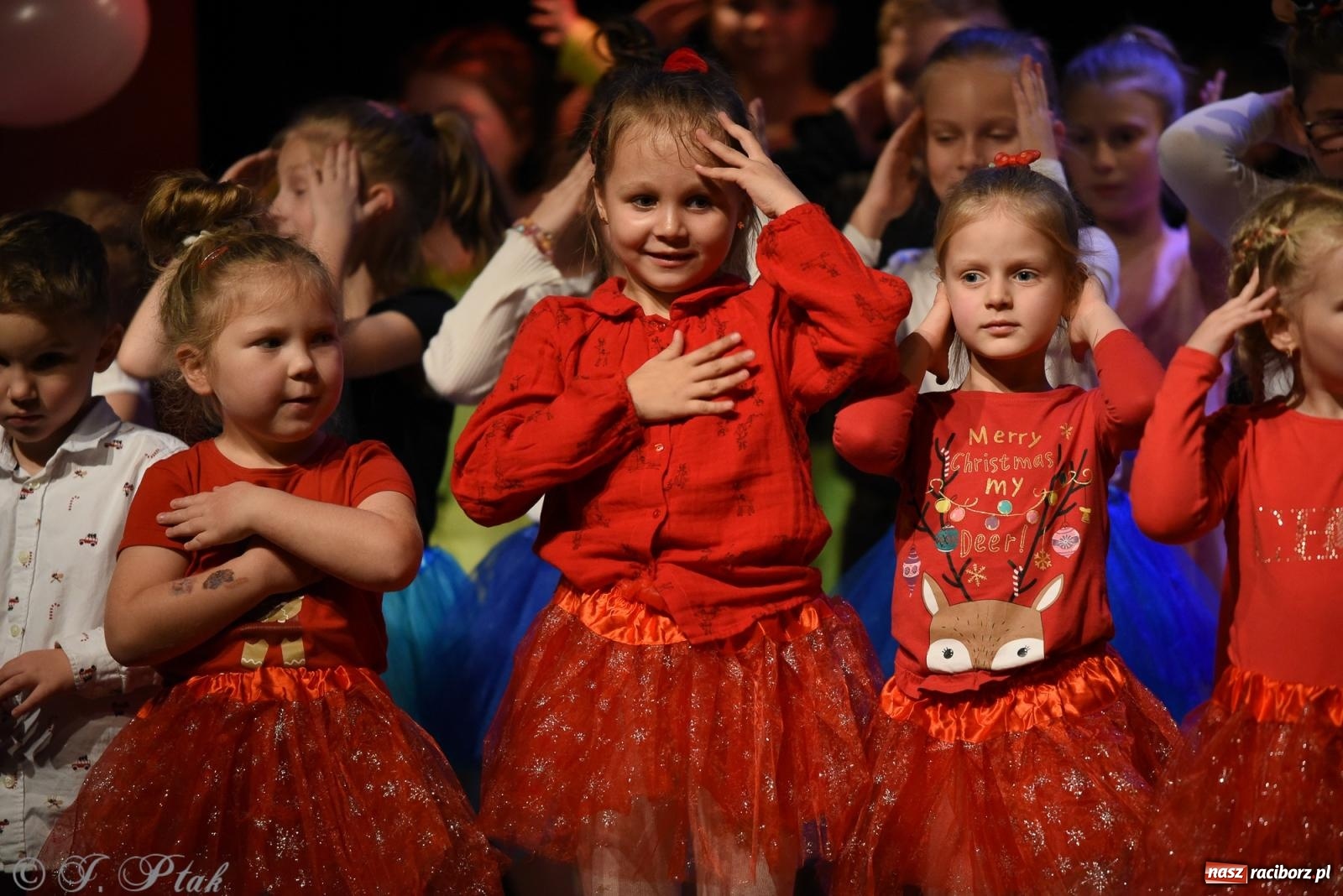 Zdjęcie w galerii na portalu naszraciborz.pl: Mikołajkowe pokazy taneczne w MDK [FOTO i WIDEO] wiadomości z regionu