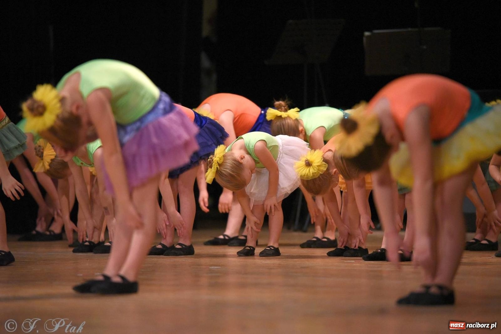 Zdjęcie w galerii na portalu naszraciborz.pl: Źródło i Patria zatańczyły dla Kubusia [FOTO i WIDEO] wiadomości z regionu