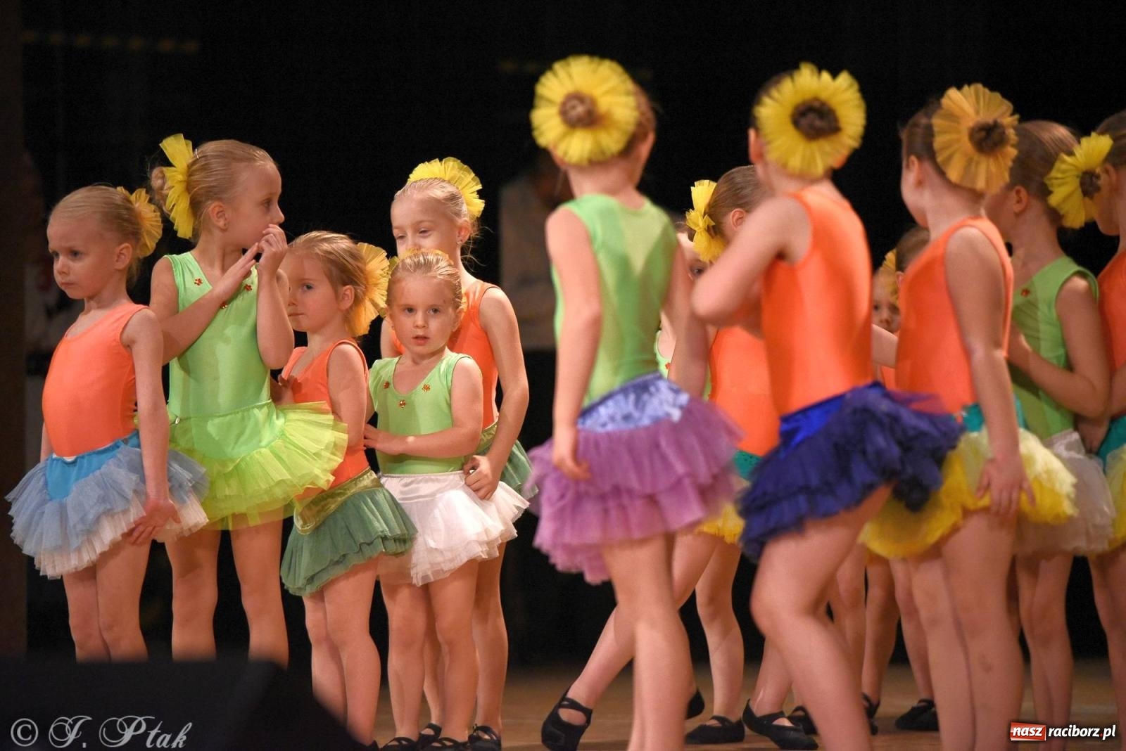 Zdjęcie w galerii na portalu naszraciborz.pl: Źródło i Patria zatańczyły dla Kubusia [FOTO i WIDEO] wiadomości z regionu