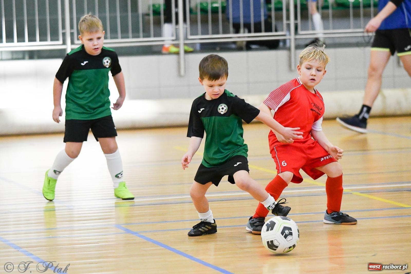 Zdjęcie w galerii na portalu naszraciborz.pl: Dwa turniejowe dni w Arenie Rafako [FOTO] wiadomości z regionu