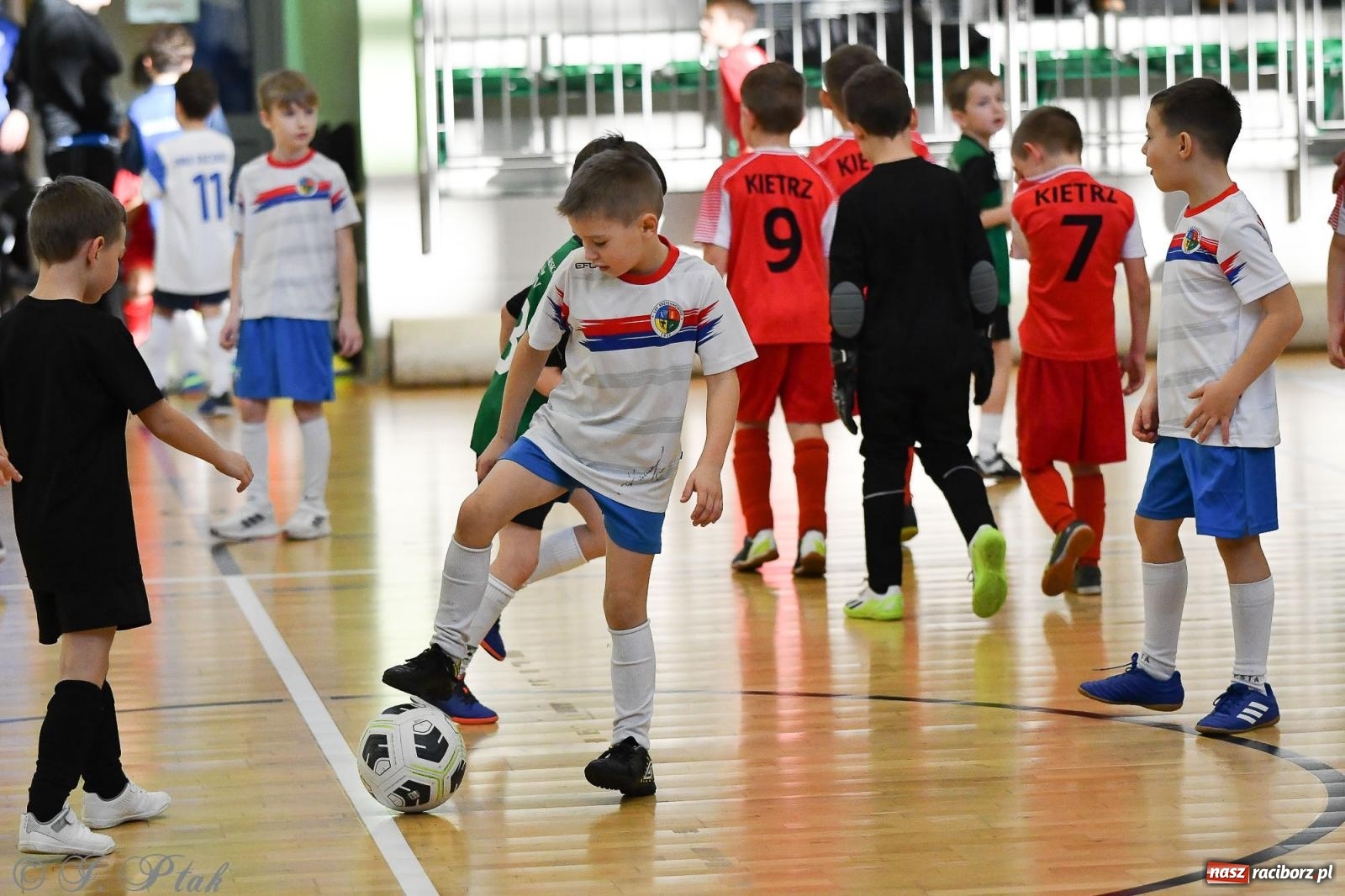 Zdjęcie w galerii na portalu naszraciborz.pl: Dwa turniejowe dni w Arenie Rafako [FOTO] wiadomości z regionu