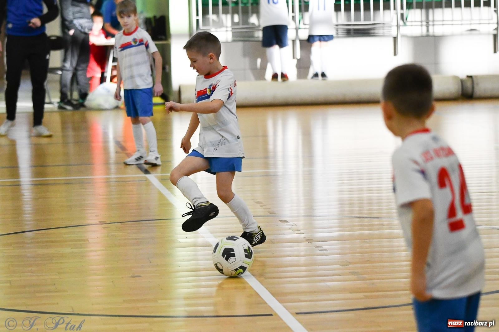 Zdjęcie w galerii na portalu naszraciborz.pl: Dwa turniejowe dni w Arenie Rafako [FOTO] wiadomości z regionu