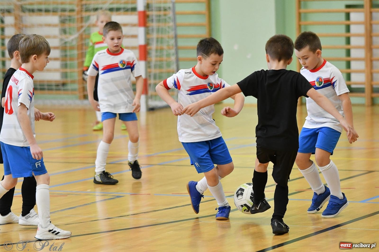 Zdjęcie w galerii na portalu naszraciborz.pl: Dwa turniejowe dni w Arenie Rafako [FOTO] wiadomości z regionu