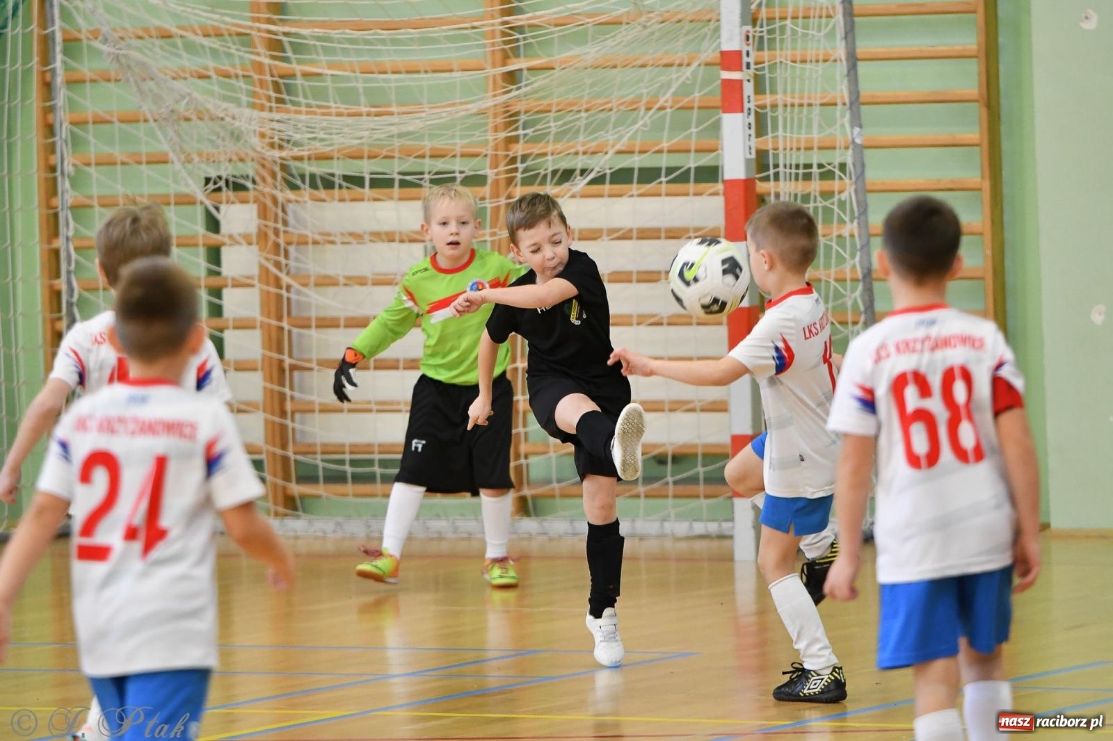 Zdjęcie w galerii na portalu naszraciborz.pl: Dwa turniejowe dni w Arenie Rafako [FOTO] wiadomości z regionu