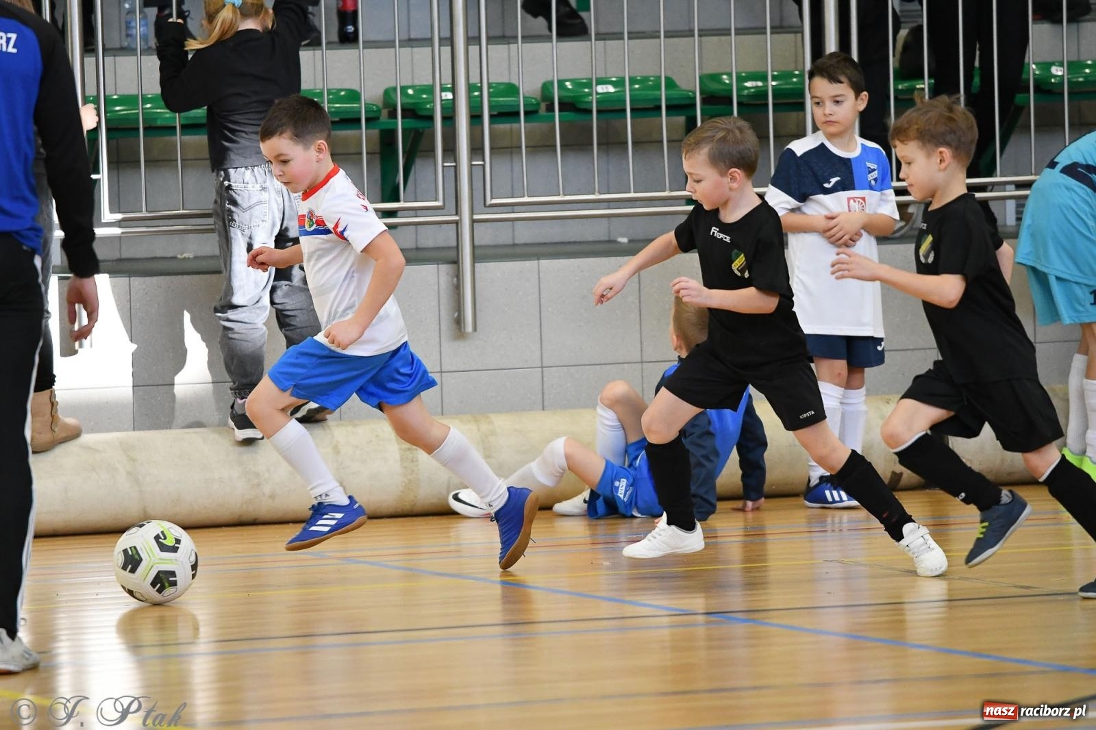 Zdjęcie w galerii na portalu naszraciborz.pl: Dwa turniejowe dni w Arenie Rafako [FOTO] wiadomości z regionu