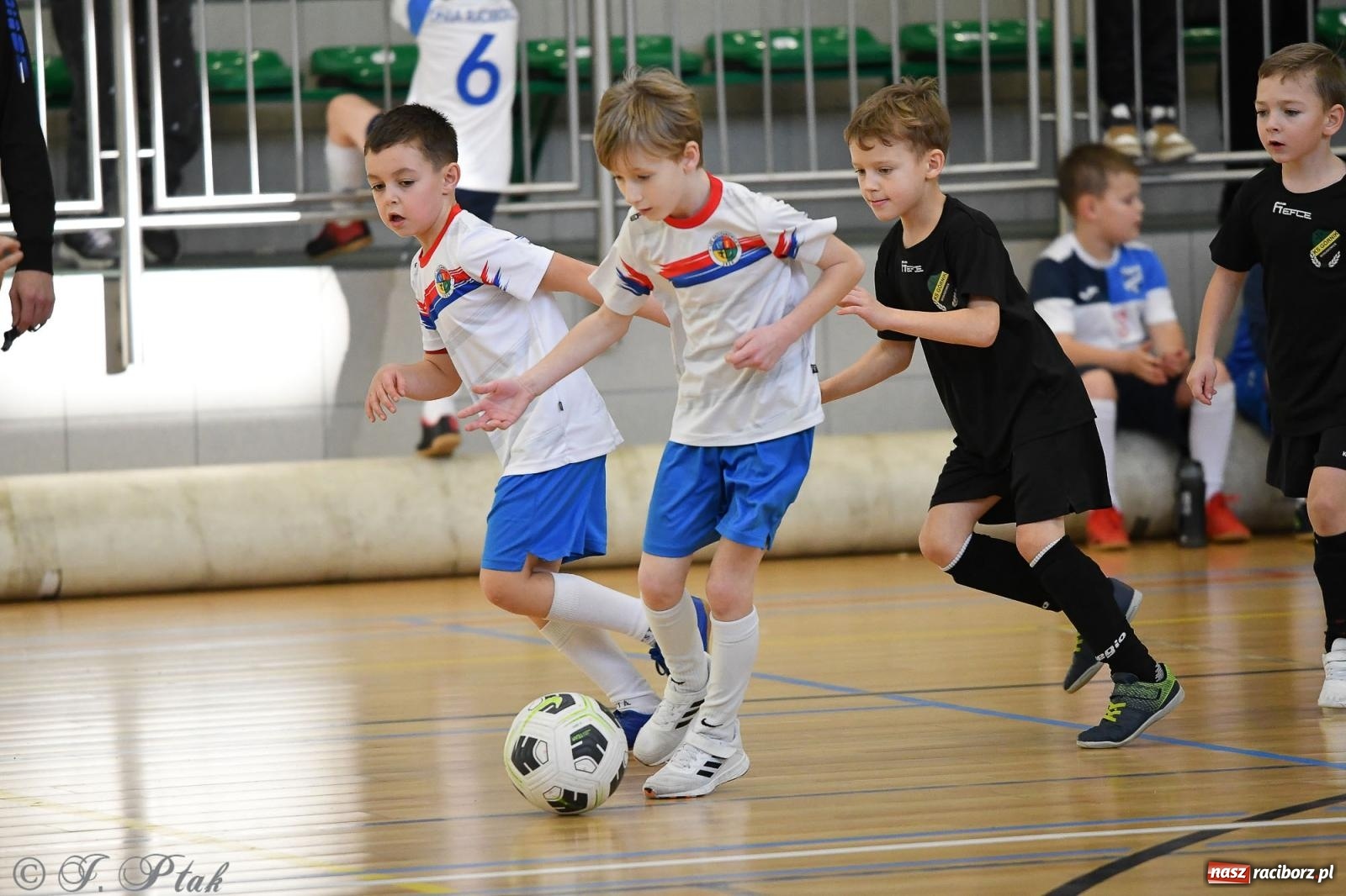 Zdjęcie w galerii na portalu naszraciborz.pl: Dwa turniejowe dni w Arenie Rafako [FOTO] wiadomości z regionu