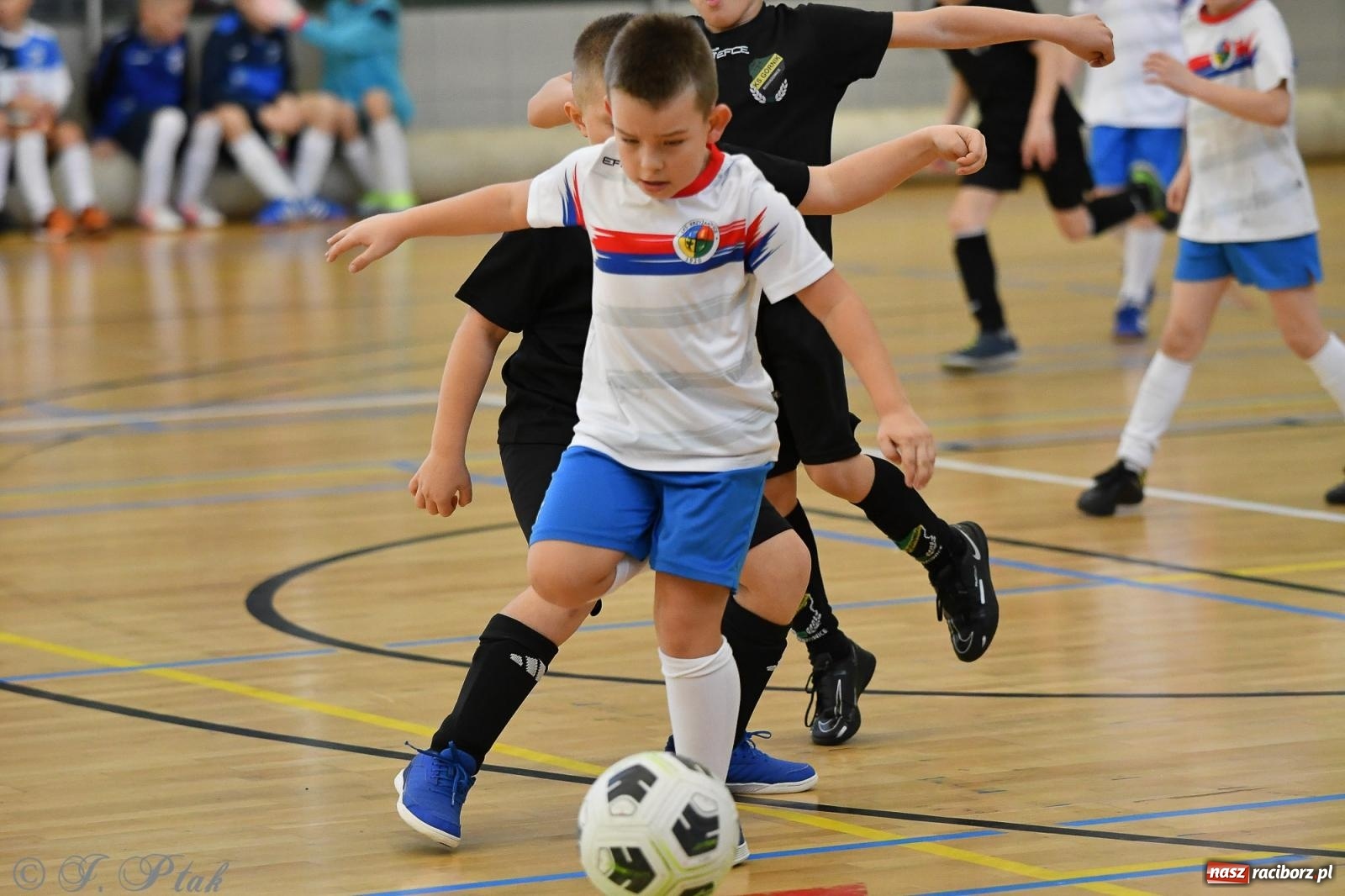 Zdjęcie w galerii na portalu naszraciborz.pl: Dwa turniejowe dni w Arenie Rafako [FOTO] wiadomości z regionu