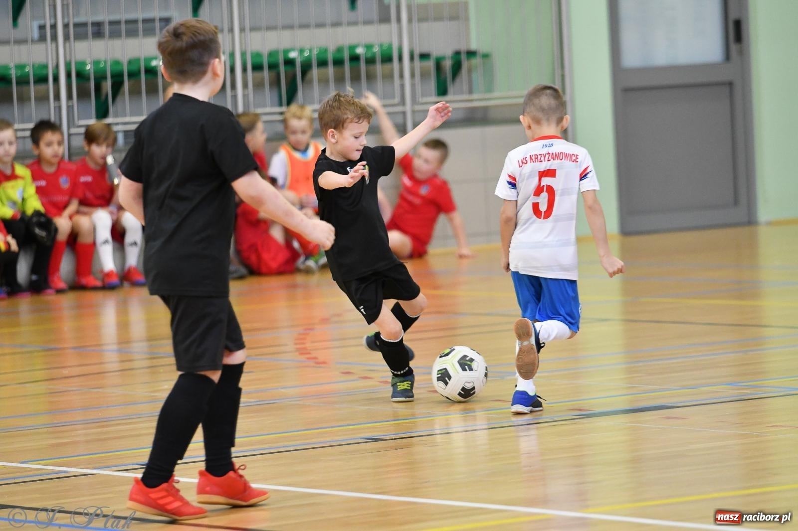 Zdjęcie w galerii na portalu naszraciborz.pl: Dwa turniejowe dni w Arenie Rafako [FOTO] wiadomości z regionu