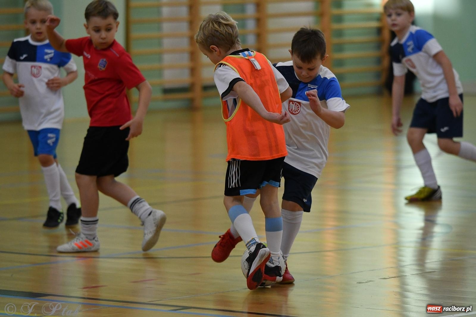 Zdjęcie w galerii na portalu naszraciborz.pl: Dwa turniejowe dni w Arenie Rafako [FOTO] wiadomości z regionu