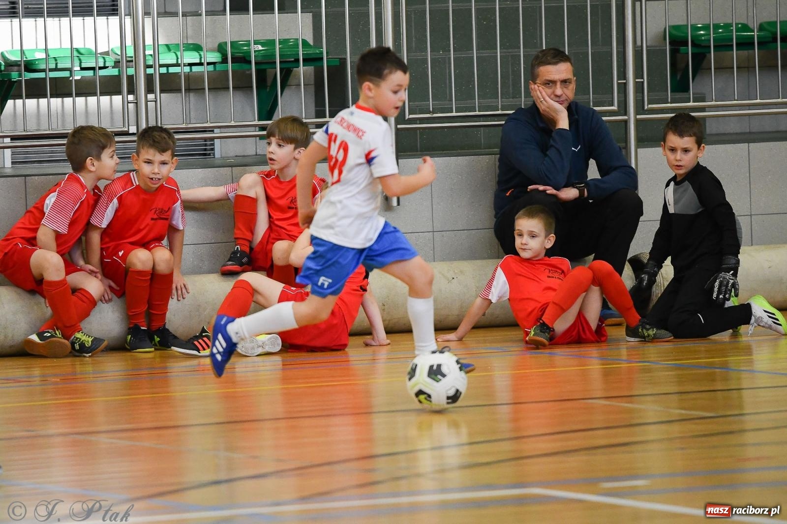 Zdjęcie w galerii na portalu naszraciborz.pl: Dwa turniejowe dni w Arenie Rafako [FOTO] wiadomości z regionu