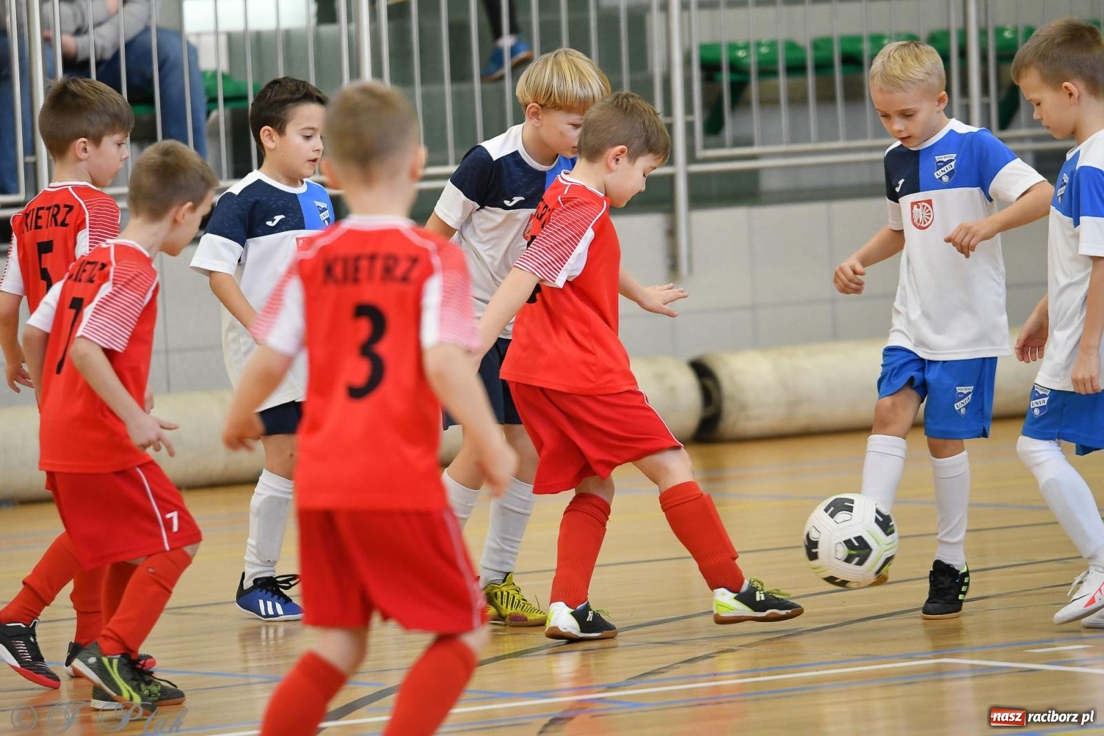 Zdjęcie w galerii na portalu naszraciborz.pl: Dwa turniejowe dni w Arenie Rafako [FOTO] wiadomości z regionu