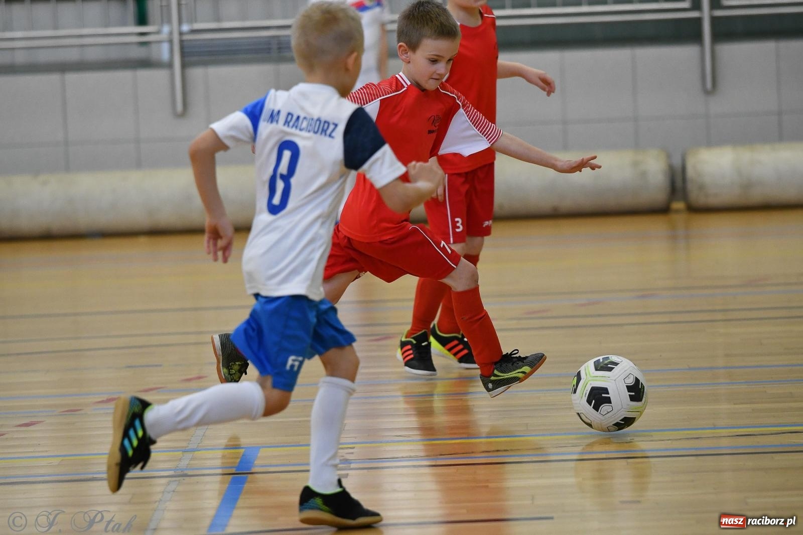 Zdjęcie w galerii na portalu naszraciborz.pl: Dwa turniejowe dni w Arenie Rafako [FOTO] wiadomości z regionu
