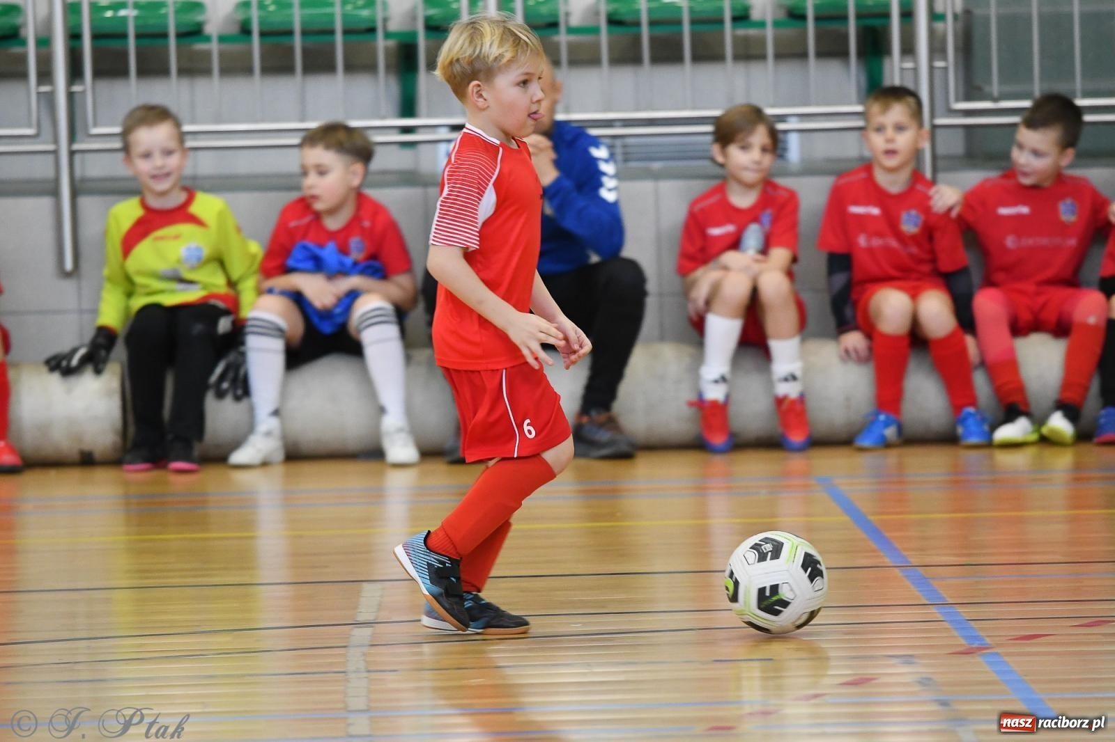 Zdjęcie w galerii na portalu naszraciborz.pl: Dwa turniejowe dni w Arenie Rafako [FOTO] wiadomości z regionu
