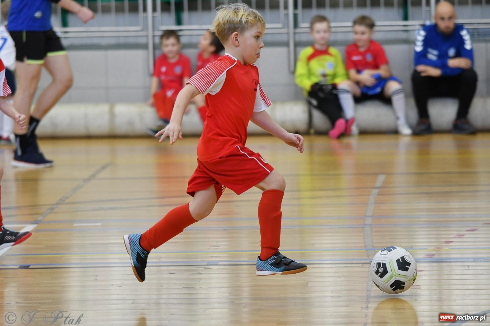 Zdjęcie w galerii na portalu naszraciborz.pl: Dwa turniejowe dni w Arenie Rafako [FOTO] wiadomości z regionu