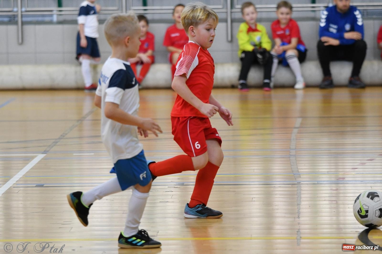 Zdjęcie w galerii na portalu naszraciborz.pl: Dwa turniejowe dni w Arenie Rafako [FOTO] wiadomości z regionu
