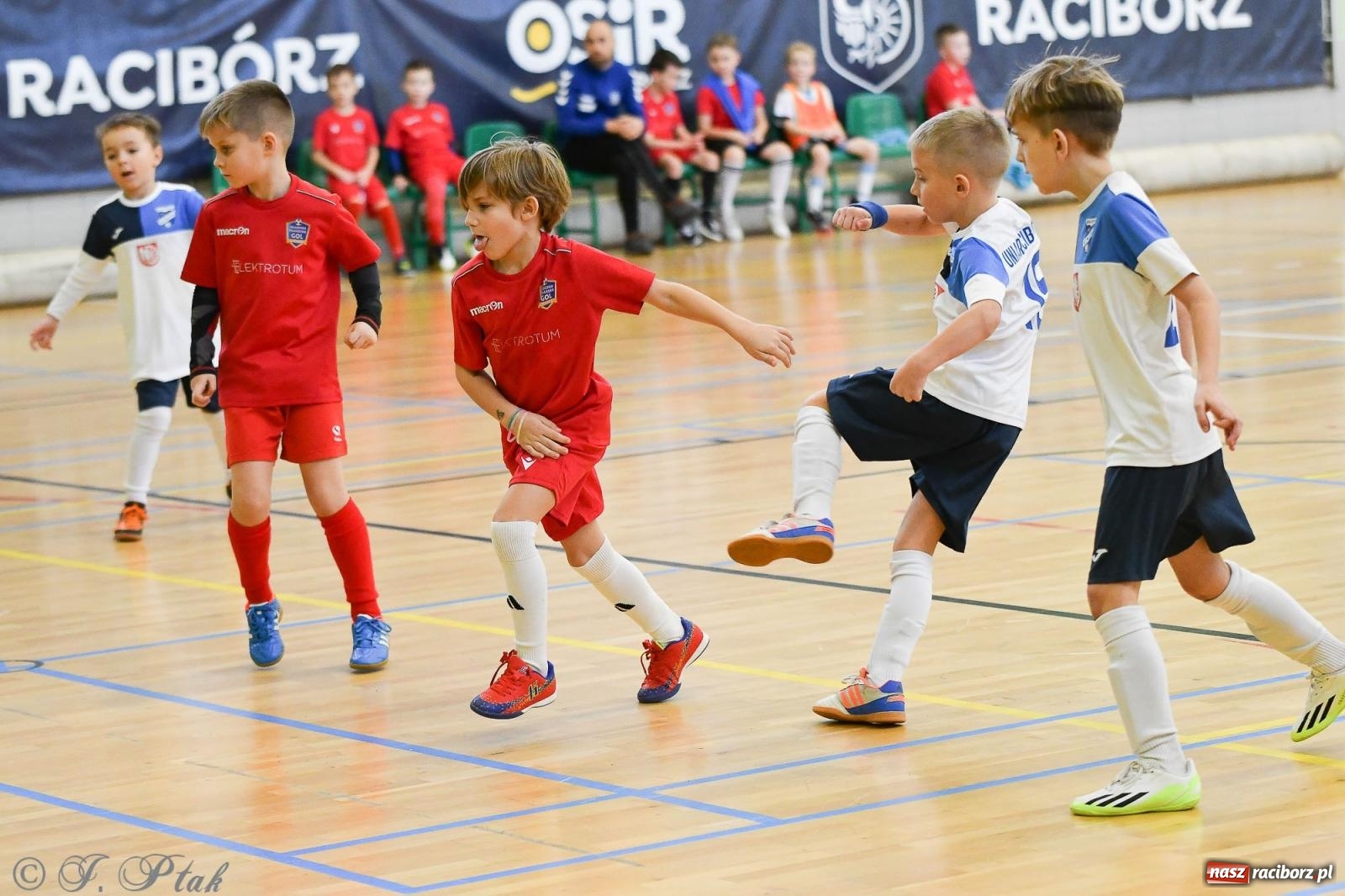 Zdjęcie w galerii na portalu naszraciborz.pl: Dwa turniejowe dni w Arenie Rafako [FOTO] wiadomości z regionu