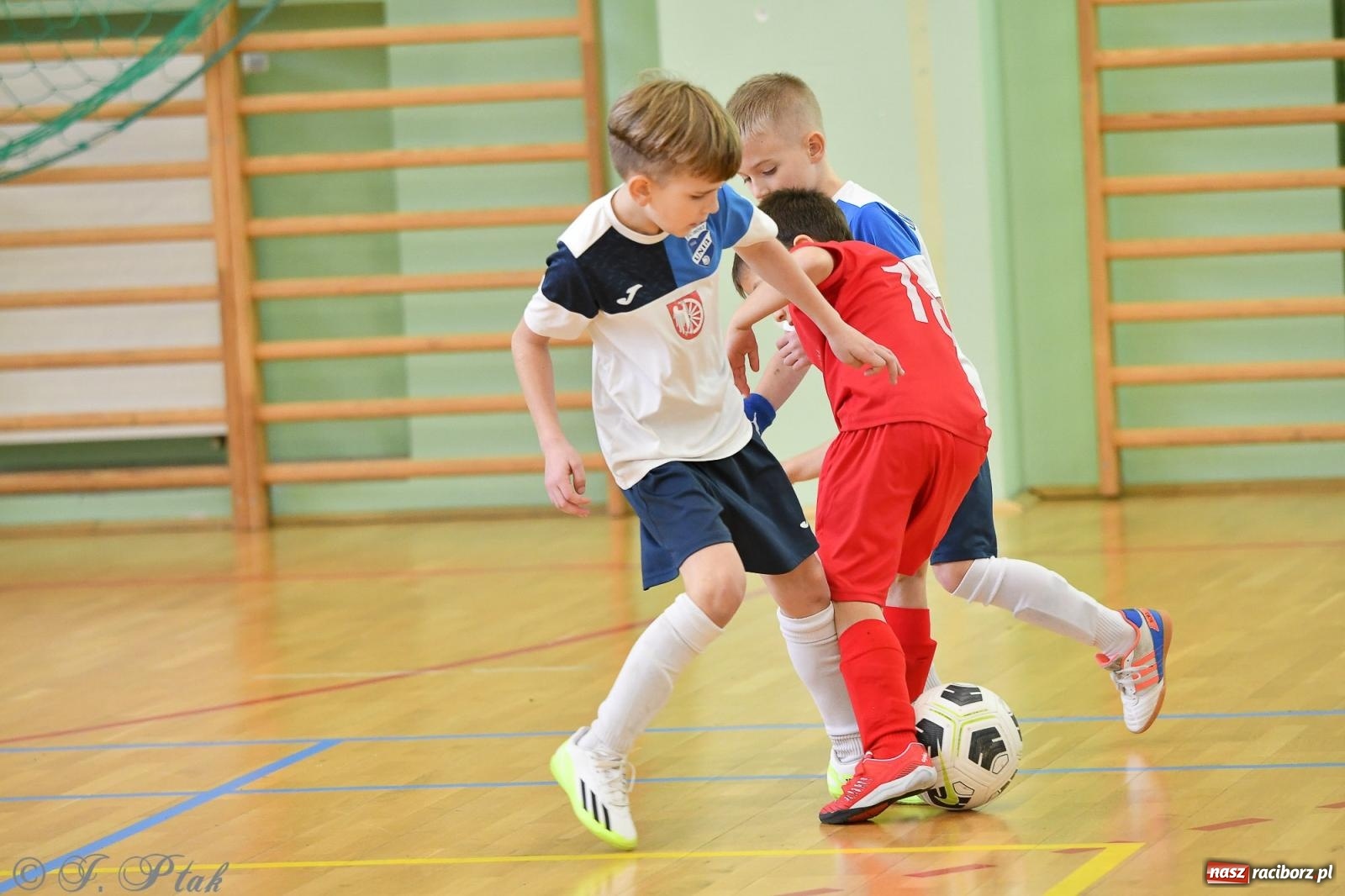 Zdjęcie w galerii na portalu naszraciborz.pl: Dwa turniejowe dni w Arenie Rafako [FOTO] wiadomości z regionu