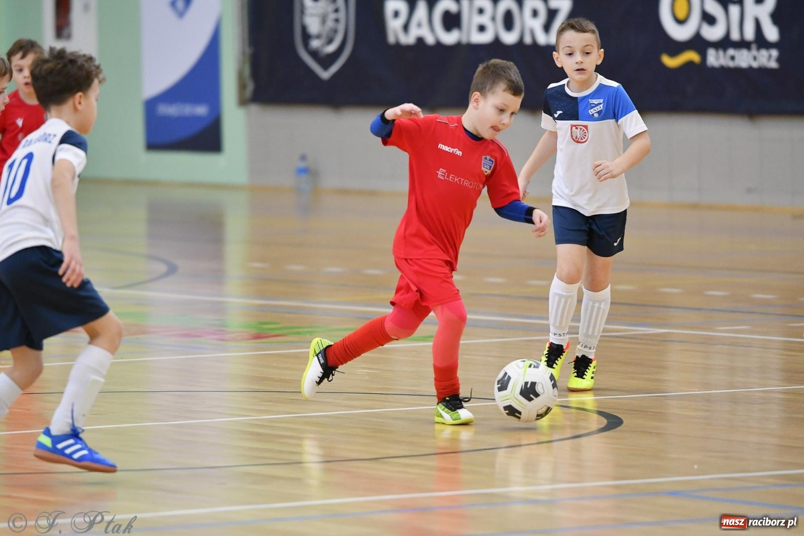 Zdjęcie w galerii na portalu naszraciborz.pl: Dwa turniejowe dni w Arenie Rafako [FOTO] wiadomości z regionu